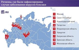 Вирус Коксаки Вирус Коксаки.