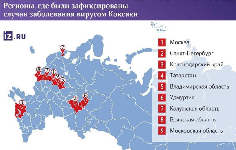 Вирус Коксаки Вирус Коксаки.